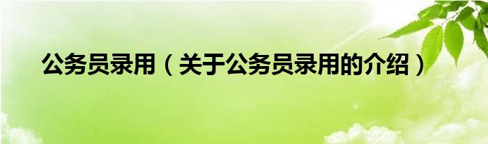 公务员录用（关于公务员录用的介绍）