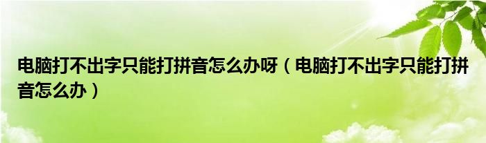 电脑打不出字只能打拼音怎么办呀（电脑打不出字只能打拼音怎么办）