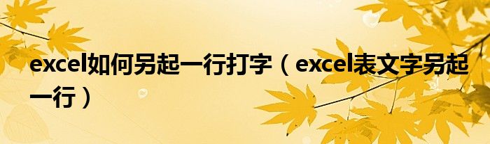 excel如何另起一行打字（excel表文字另起一行）