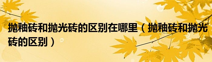 抛釉砖和抛光砖的区别在哪里（抛釉砖和抛光砖的区别）