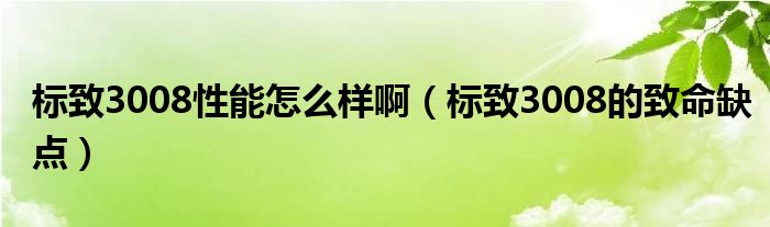 标致3008性能怎么样啊（标致3008的致命缺点）