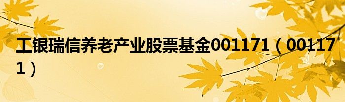 工银瑞信养老产业股票基金001171（001171）