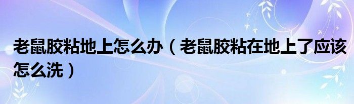 老鼠胶粘地上怎么办（老鼠胶粘在地上了应该怎么洗）