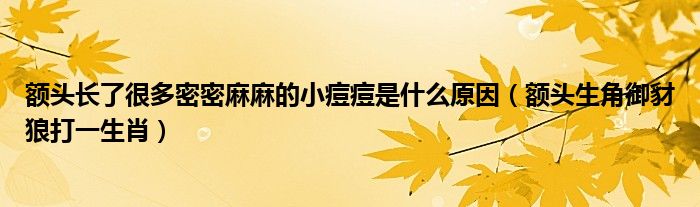 额头长了很多密密麻麻的小痘痘是什么原因（额头生角御豺狼打一生肖）