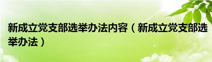 新成立党支部选举办法内容（新成立党支部选举办法）