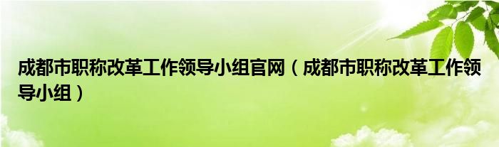 成都市职称改革工作领导小组官网（成都市职称改革工作领导小组）