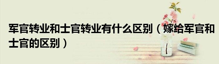 军官转业和士官转业有什么区别（嫁给军官和士官的区别）