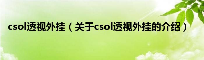 csol透视外挂（关于csol透视外挂的介绍）