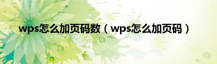 wps怎么加页码数（wps怎么加页码）