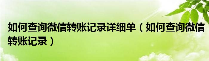 如何查询微信转账记录详细单（如何查询微信转账记录）