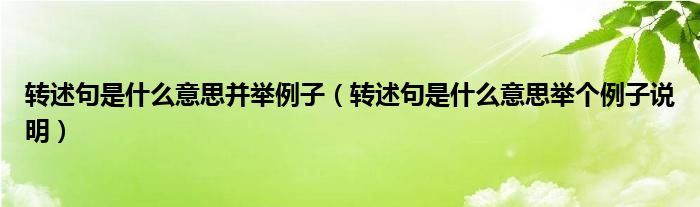 转述句是什么意思并举例子（转述句是什么意思举个例子说明）