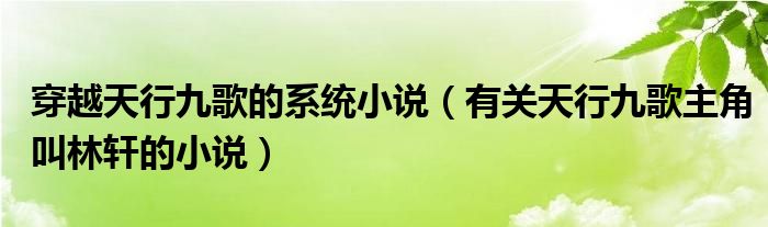 穿越天行九歌的系统小说（有关天行九歌主角叫林轩的小说）