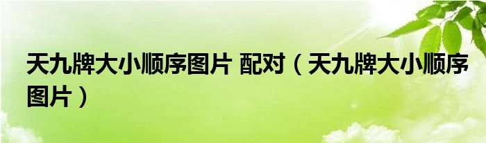 天九牌大小顺序图片 配对（天九牌大小顺序图片）