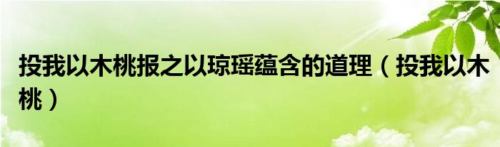 投我以木桃报之以琼瑶蕴含的道理（投我以木桃）