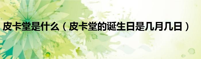 皮卡堂是什么（皮卡堂的诞生日是几月几日）