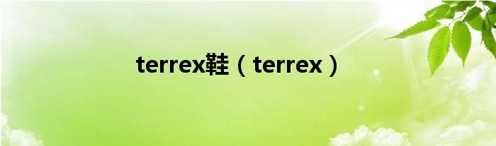 terrex鞋（terrex）