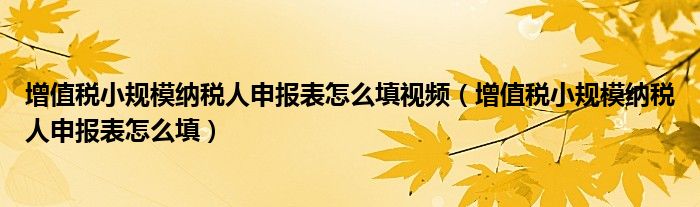 增值税小规模纳税人申报表怎么填视频（增值税小规模纳税人申报表怎么填）