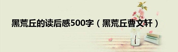 黑荒丘的读后感500字（黑荒丘曹文轩）