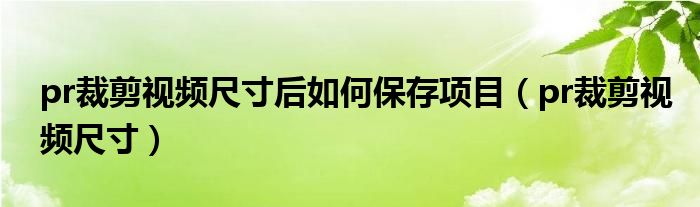 pr裁剪视频尺寸后如何保存项目（pr裁剪视频尺寸）