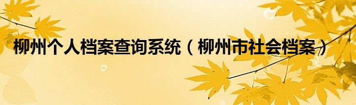 柳州个人档案查询系统（柳州市社会档案）