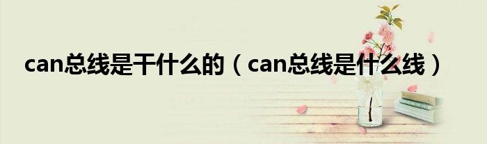 can总线是干什么的（can总线是什么线）