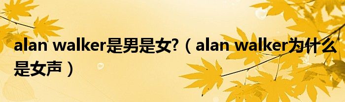 alan walker是男是女?（alan walker为什么是女声）