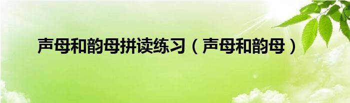 声母和韵母拼读练习（声母和韵母）