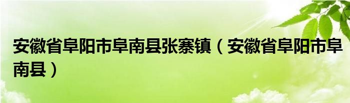 安徽省阜阳市阜南县张寨镇（安徽省阜阳市阜南县）