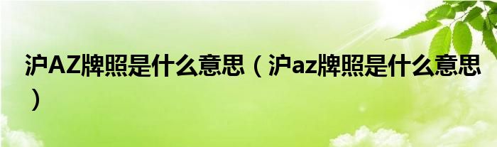 沪AZ牌照是什么意思（沪az牌照是什么意思）