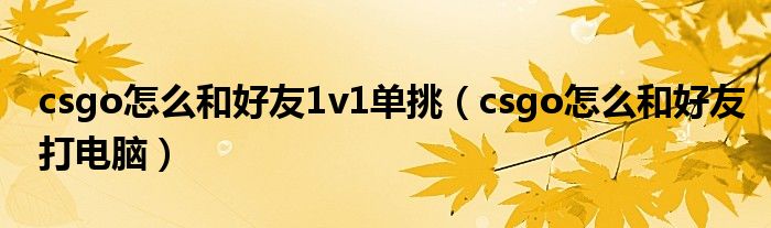 csgo怎么和好友1v1单挑（csgo怎么和好友打电脑）