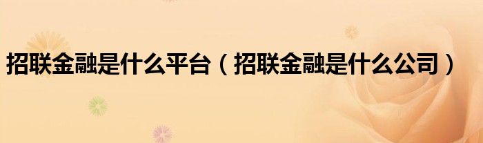 招联金融是什么平台（招联金融是什么公司）