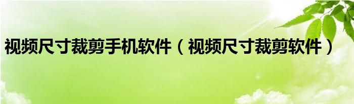 视频尺寸裁剪手机软件（视频尺寸裁剪软件）