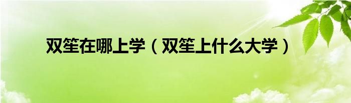 双笙在哪上学（双笙上什么大学）