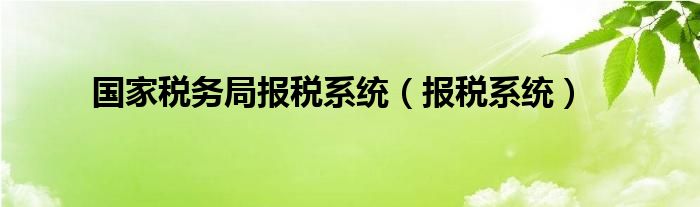 国家税务局报税系统（报税系统）