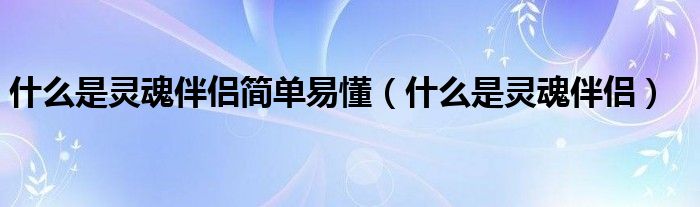 什么是灵魂伴侣简单易懂（什么是灵魂伴侣）