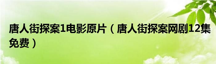 唐人街探案1电影原片（唐人街探案网剧12集免费）