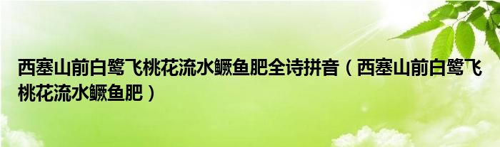 西塞山前白鹭飞桃花流水鳜鱼肥全诗拼音（西塞山前白鹭飞桃花流水鳜鱼肥）