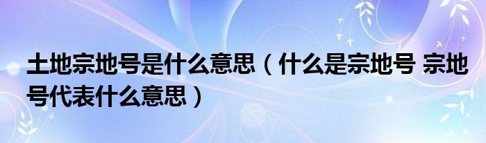 土地宗地号是什么意思（什么是宗地号 宗地号代表什么意思）