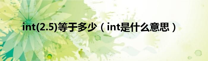 int(2.5)等于多少（int是什么意思）