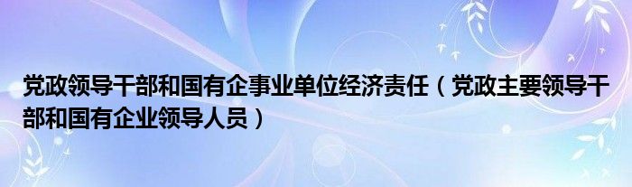 党政领导干部和国有企事业单位经济责任（党政主要领导干部和国有企业领导人员）