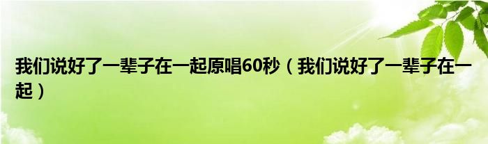 我们说好了一辈子在一起原唱60秒（我们说好了一辈子在一起）