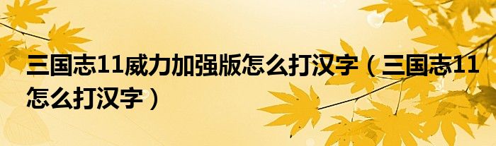 三国志11威力加强版怎么打汉字（三国志11怎么打汉字）