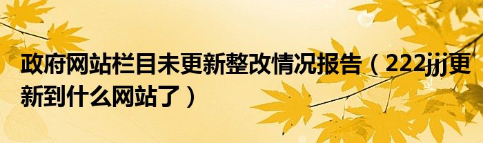 政府网站栏目未更新整改情况报告（222jjj更新到什么网站了）