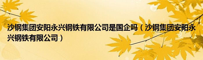 沙钢集团安阳永兴钢铁有限公司是国企吗（沙钢集团安阳永兴钢铁有限公司）