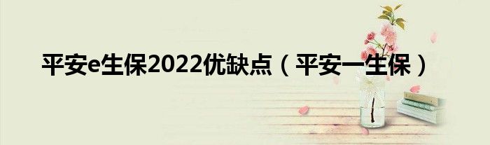 平安e生保2022优缺点（平安一生保）