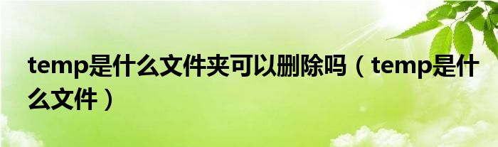 temp是什么文件夹可以删除吗（temp是什么文件）