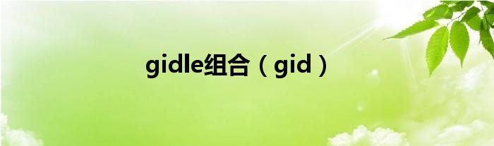 gidle组合（gid）