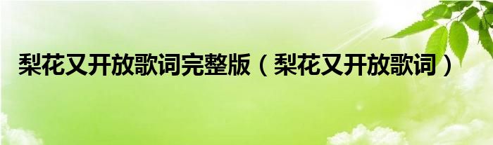 梨花又开放歌词完整版（梨花又开放歌词）