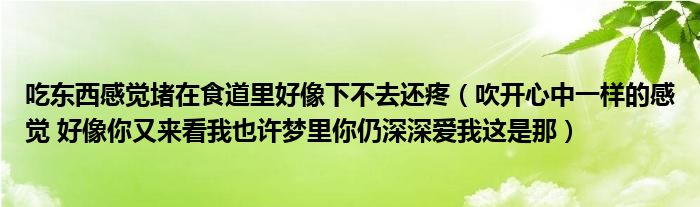 吃东西感觉堵在食道里好像下不去还疼（吹开心中一样的感觉 好像你又来看我也许梦里你仍深深爱我这是那）