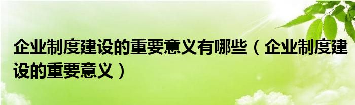 企业制度建设的重要意义有哪些（企业制度建设的重要意义）